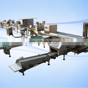 Factory Genyond Automatic Egg Washing Breaking Egg Liquid Pasteurization Making Machine Egg Powder Process Plant Production Line thumbnail-2