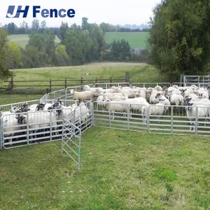 Smooth Solid Surface Sheep Panel: Eliminates Wool Snagging & Hoof Injuries for Safer, Healthier Animal Containment thumbnail-1