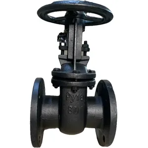 Russian Standard Cast Steel WCB Gate Valve Rising Stem Manual Hard Seal Flange GOST Gate Valve Dn200 Pn16 thumbnail-2