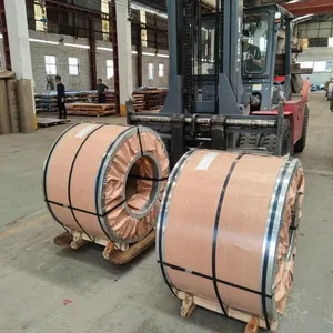201 Stainless Steel Coil, NO.1 Surface, 3.0mm – 6.0mm Thick – OEM Slitting thumbnail-3