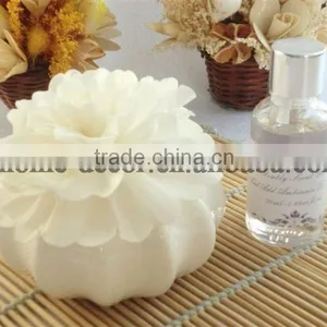 100ml Ceramic Aroma Diffuser/aroma Reed Diffuser /home Fragrance Diffuser Quality Choice thumbnail-1