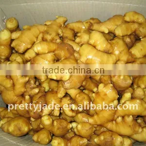 Yellow Ginger thumbnail-1