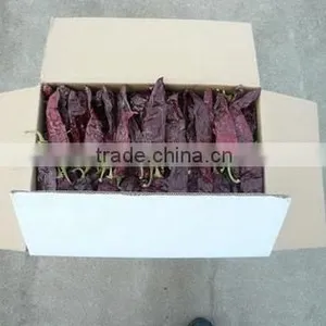 Chinese Exported Dry Sweet Paprika Whole thumbnail-5