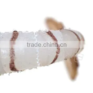 CHS007 Company Looking for Distributor TPR Shrimp Soft Fishing Lure in Saltwater thumbnail-2