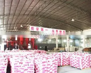 Foshan Nanhai Bander Decoration Material Co., Ltd. company overview - view 4 thumbnail
