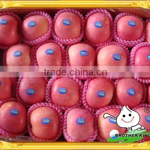Fresh Apple From China/ Red Apple/China Red Apple thumbnail-1