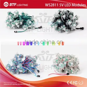 Ws2811 5v Square Led Module IP68 Waterproof thumbnail-2