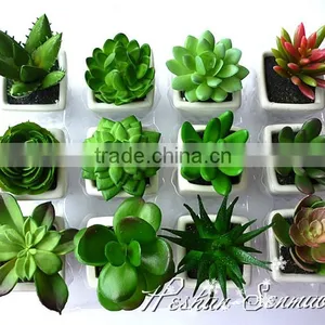 Hot Sale Indoor Decorative Competitive Price Artificial Potted Succulents With Competitive Price thumbnail-1