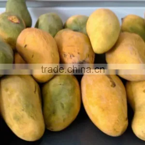 Fresh Chunsa Mango thumbnail-6