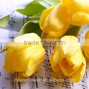 Best Selling Beautiful Fresh Cut Yellow Tulip Bulbs Flower for Exporting thumbnail-1