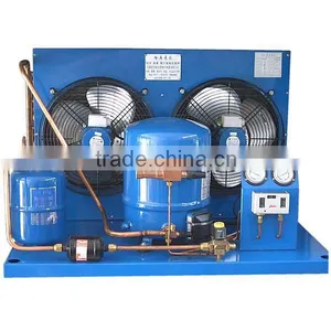 8HP MTZ100 R404a Air Cooled Cold Room Compressor Unit thumbnail-1