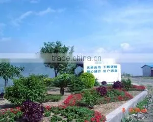 Sichuan Hongyu Baiyun New Materials Co., Ltd. company overview - view 3 thumbnail