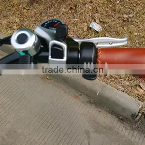 Newest! Hot Sale CE Approved Ladies' Electric Bike, MTB Fat Tire Electric Bike thumbnail-6