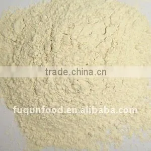 Dehydrated Garlic Powder Air Dried thumbnail-1
