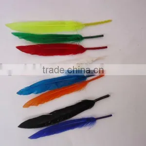 Feather Raw Material-60 thumbnail-1