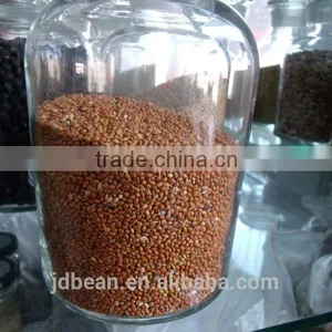Glutinous Sweet Red Sorghum With High Starch thumbnail-4