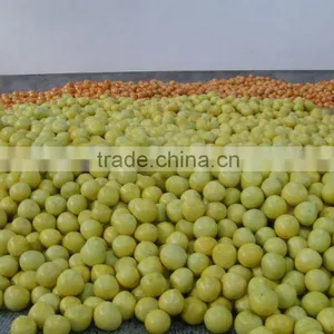 New Crop Fresh Honey Guangxi Pomelo thumbnail-2
