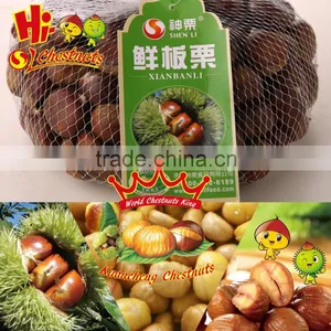 Organic Fresh Chestnuts --Bulk Hebei Chestnuts for Sale thumbnail-2