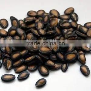 we Export Watermelon Seeds and Kernels New Crop thumbnail-1