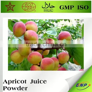 Dried Fruit Dry Apricot Powder thumbnail-2