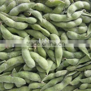 Frozen Edamame thumbnail-1