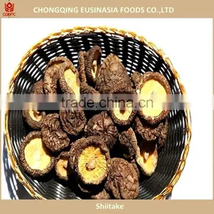 Shiitake Mushroom Cultivation Lentinus Edodes thumbnail-1