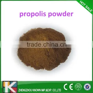 Top Quality Raw Propolis Powder/Bee Propolis on Sale thumbnail-1
