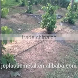 Cambodia Hot Sale Pepper Irrigation System thumbnail-4