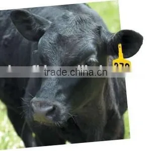 New Products RFID Animal Ear Tag/plastic Ear Tag for Cattles /pigs thumbnail-1