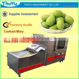 Olive Core Separating/ Separator/Remover/ Seed Extracting Machine/ Separator/ Separating Machine(SMS: 0086-15903675071) thumbnail-1