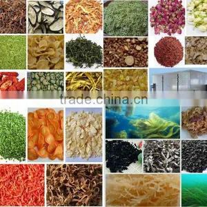 Fruits And Vegetable Drying Machine thumbnail-3