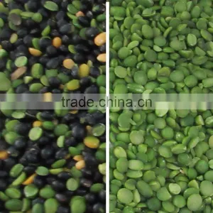 Best Selling Mung Bean Slices Color Sorter Price thumbnail-2