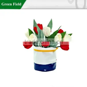Stylish Flower Pots, Flower Pots Wholesale, Canvas Flower Bag thumbnail-6