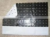 pe Black & Silver Agriculture Mulch Film/black & Silver Mulch Film With Hole thumbnail-2
