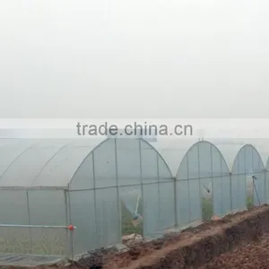 Cheap Fruit Vegetable Flower Greenhouse Tent for Sale thumbnail-1