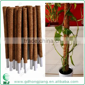 Coir Stake for Climbing Plant Support thumbnail-1