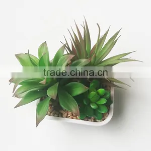Wholesale Ornamental Plants Small Plastic Succulent Plant Bonsai thumbnail-4
