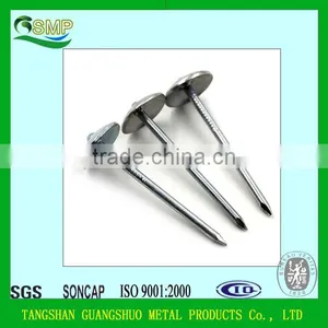 Aluminum Roofing Nails Factory thumbnail-1