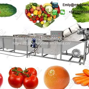 Industrial Mango Washing Machine Price thumbnail-1