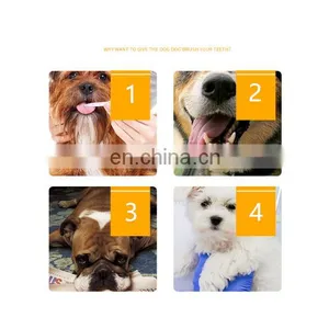 Hot Sale Pet Tooth Cleaning Products Eco-friendly Dog Toothpaste Dental Care Tool Toothbrush Set thumbnail-4