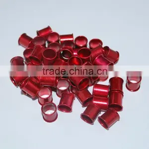 Ring Pigeon for Sale thumbnail-1