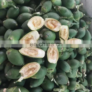 Vietnam Dried Areca Nut/Betel Nuts With High Quality thumbnail-1