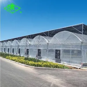 Blue Lifelong Anti-Fogging & Dripping Po Film UV Greenhouse Film for Agriculture thumbnail-1