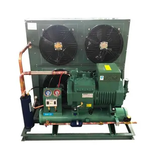 Catering Cold Storage, Borun Refrigeration Cold Storage Compressor, 5 Hp, 4yd - 3.2, Reliable Cold Storage Compressor Unit thumbnail-2