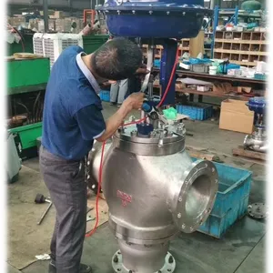 Cast Iron Globe Type Regulating Valve for Steam Flow Control thumbnail-2