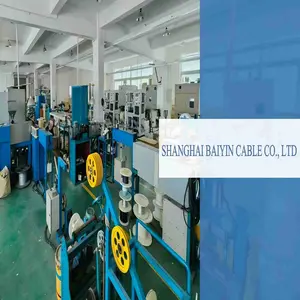 Shanghai Baiyin Cable Co., Ltd. company overview - view 1 thumbnail
