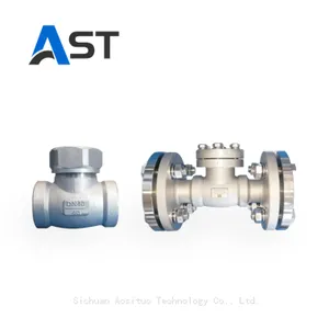 Cryogenic Lift Swing Check Valve thumbnail-1