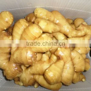 2016 Chinese Fresh Ginger Wet Dry Half Dry Skin Super Quality thumbnail-1