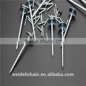 Competitive Price BWG10X2.5" Roofing Nails thumbnail-1