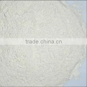 Top Quality Wasabi Powder thumbnail-1